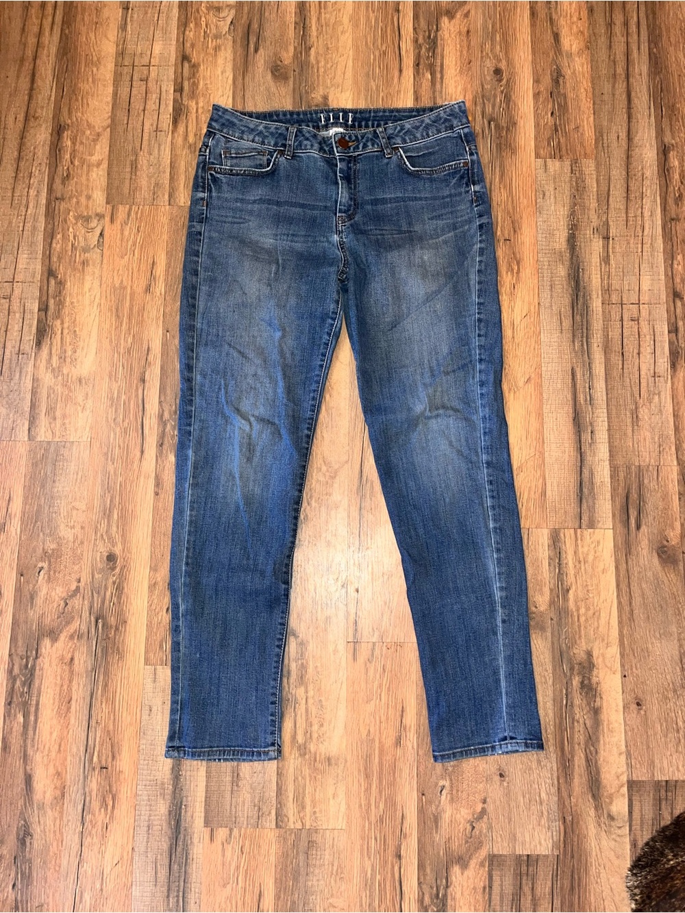 Elle Women's Skinny Jeans in Blue Wash